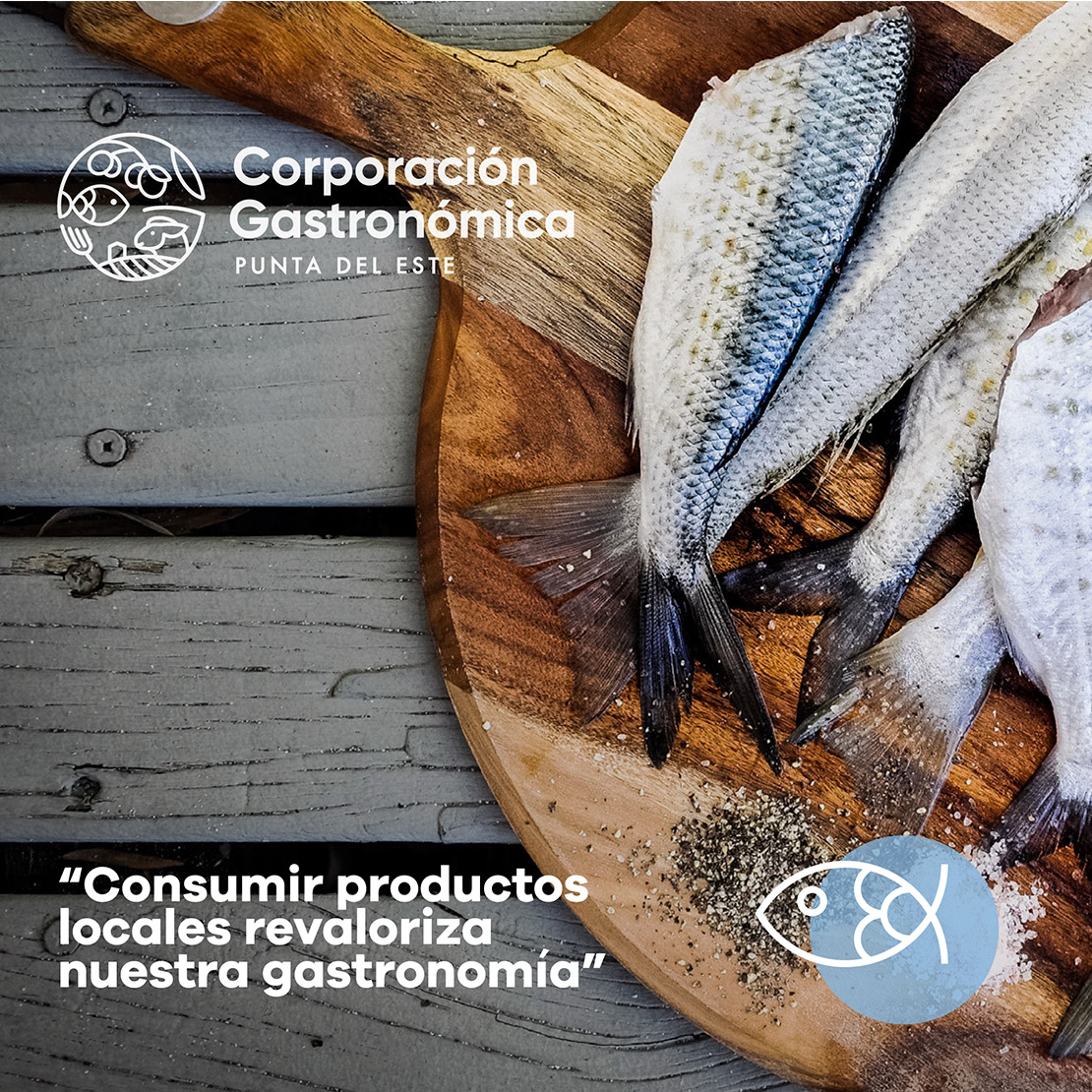 Corporacion-Galeria-14