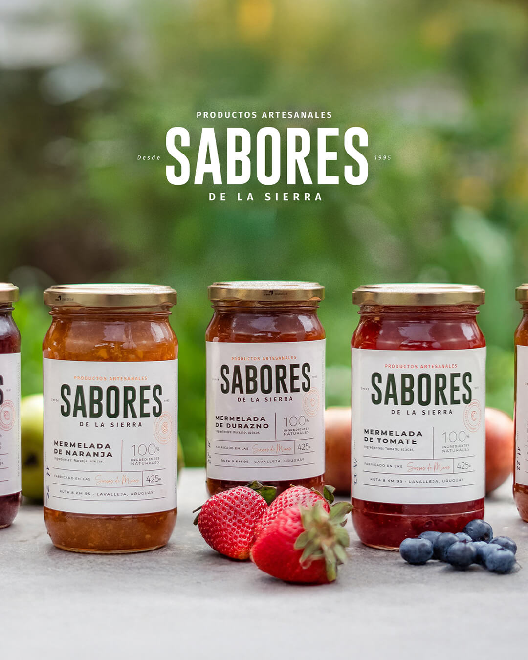 Sabores-Branding