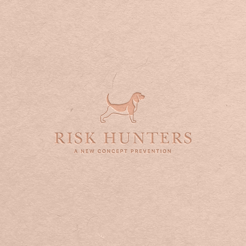 logo-presentacion-risk