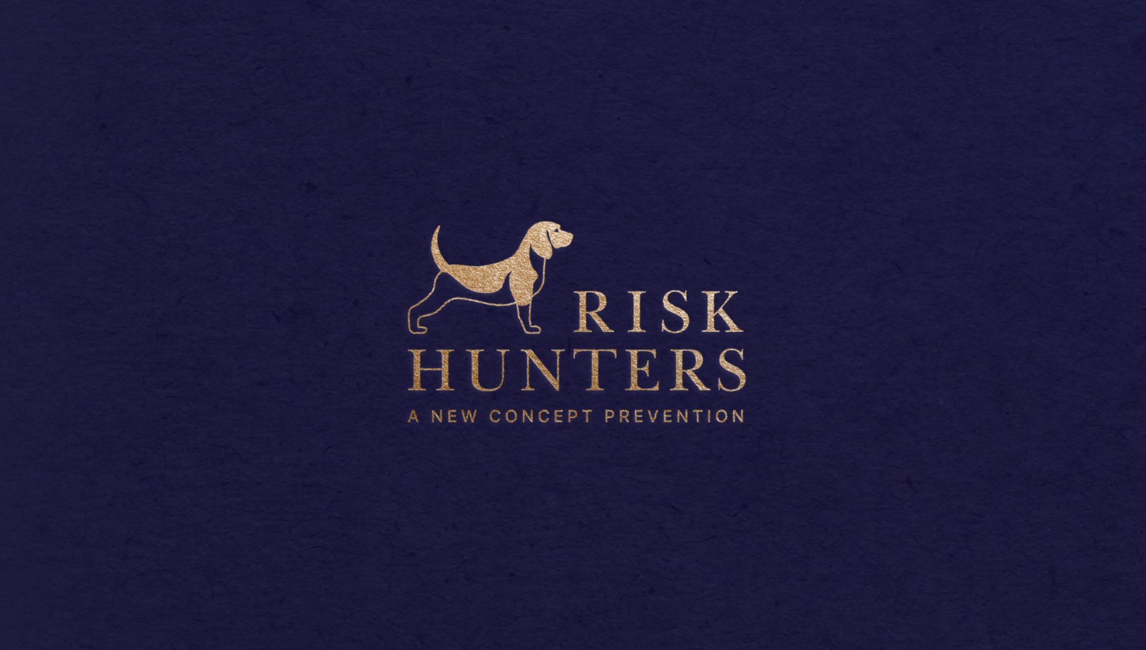 presentacion-logo-risk
