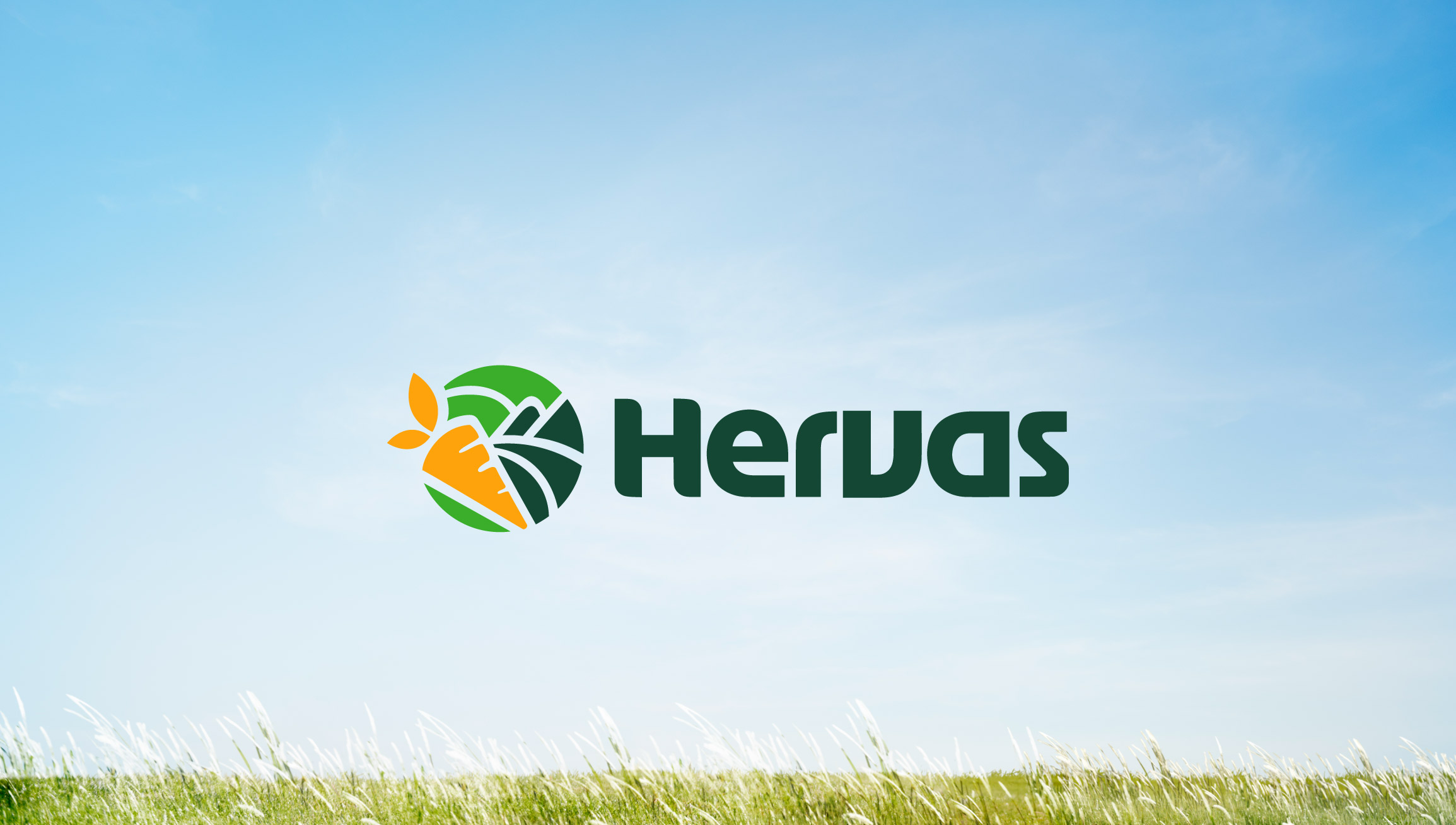 hervas-logo