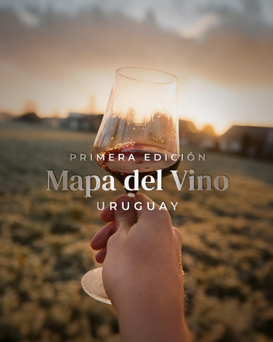 MapadelVino-Branding