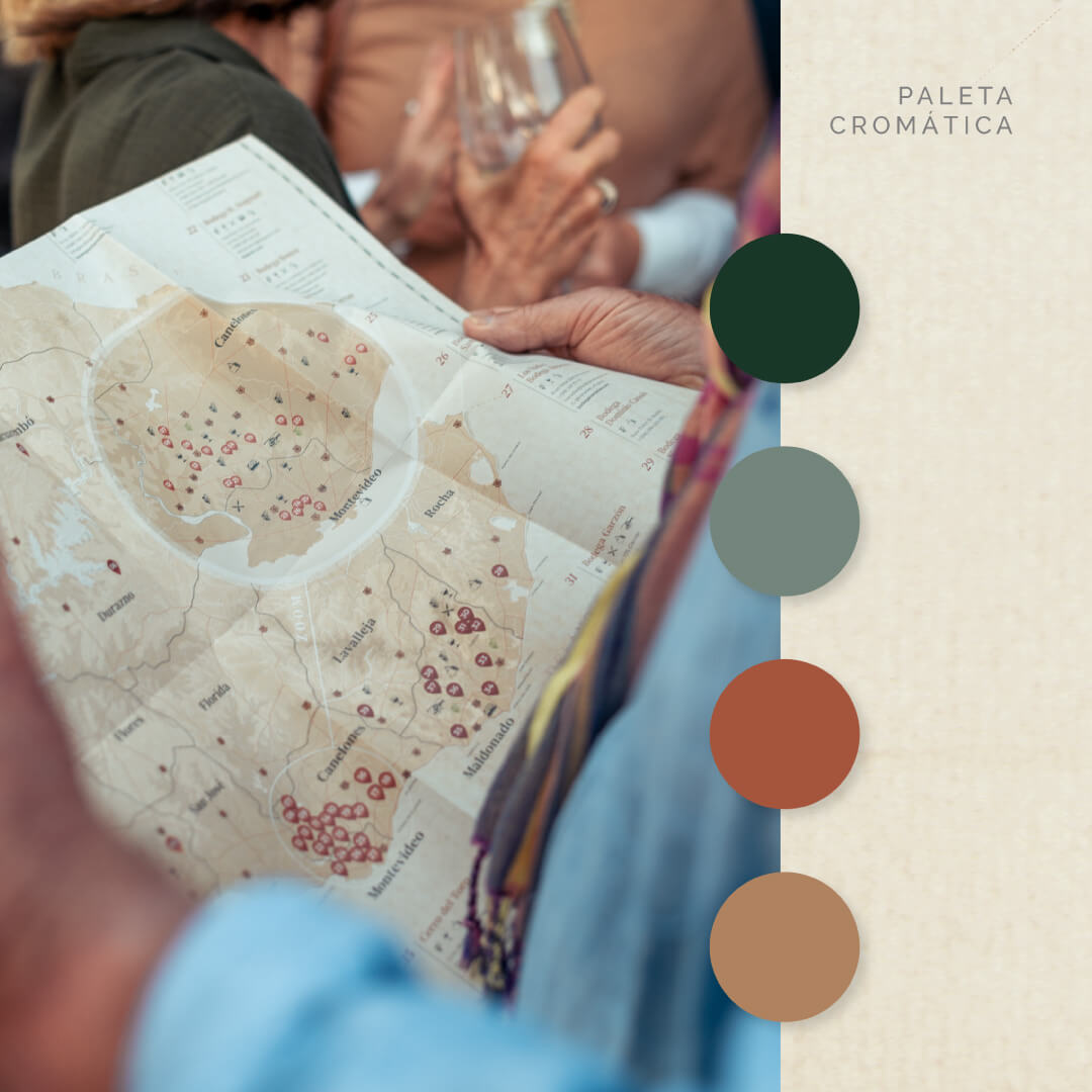 paleta-cromatica-mdv