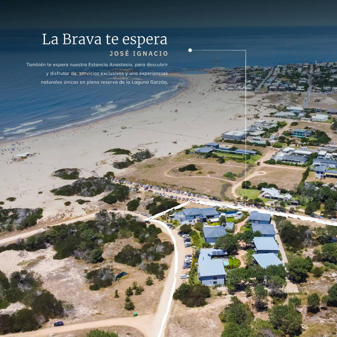 Portfolio_anastacio-5