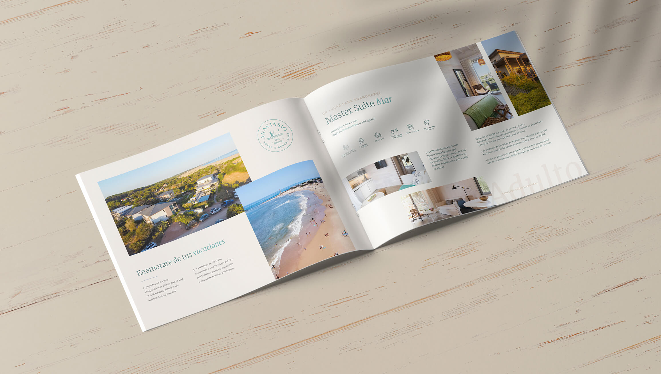 Portfolio_anastacio-8