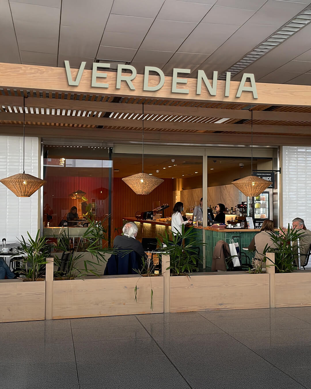 Verdenia-Branding