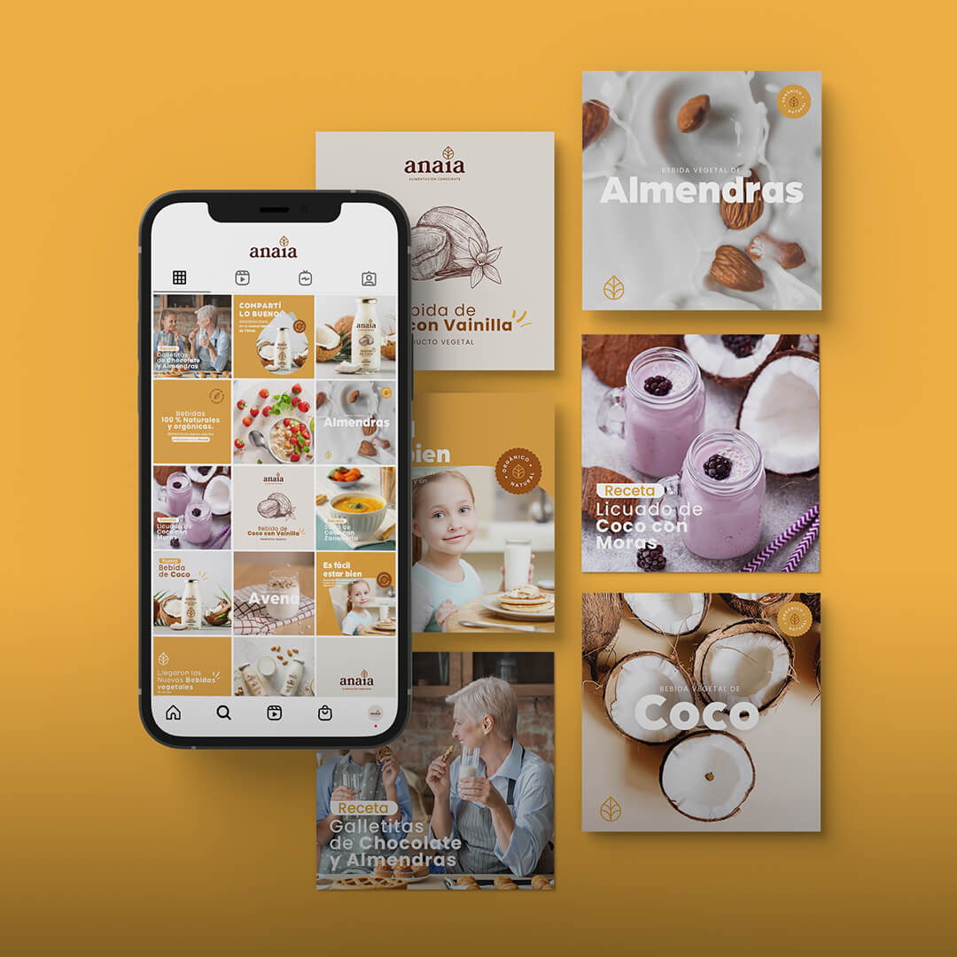 portada_social-media_anaia