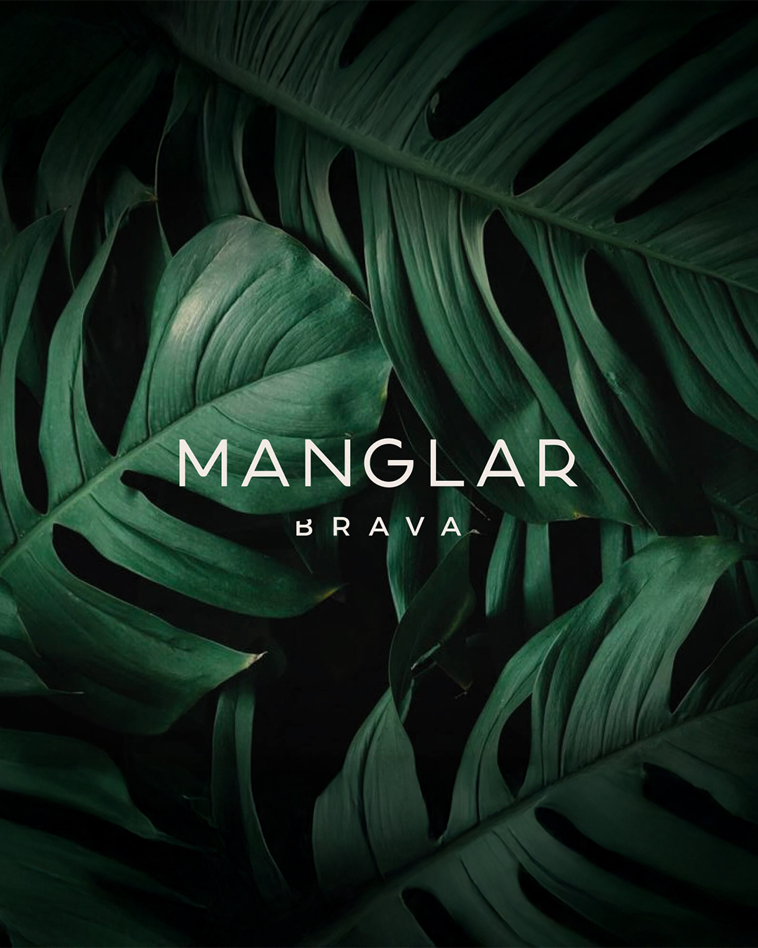 Manglar-Branding
