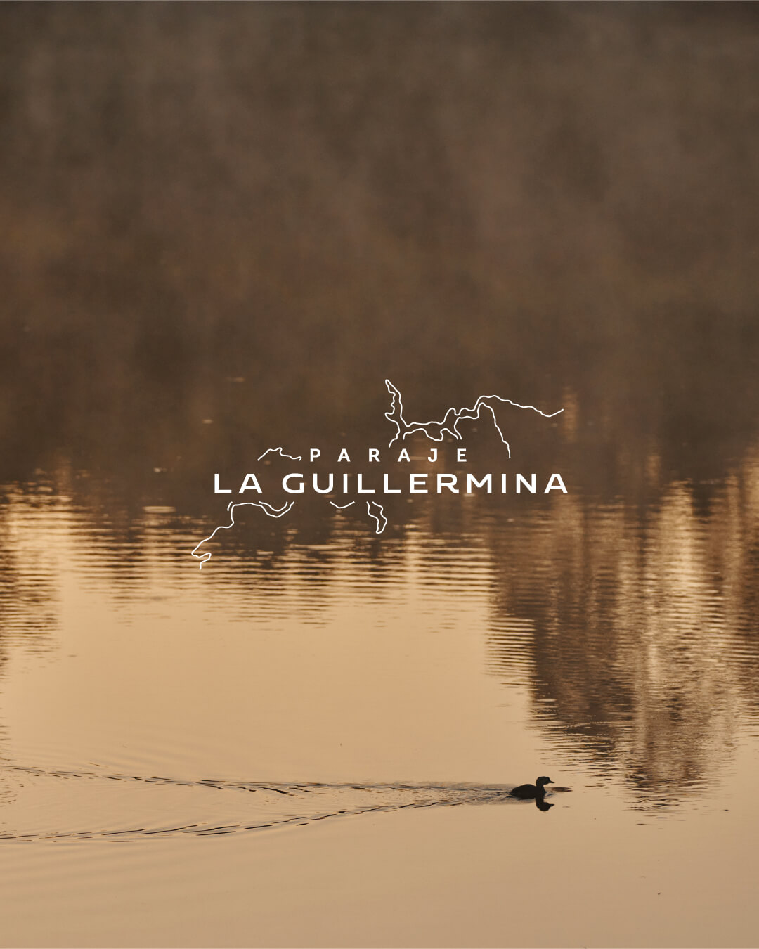 LaGuille_Portada-Branding