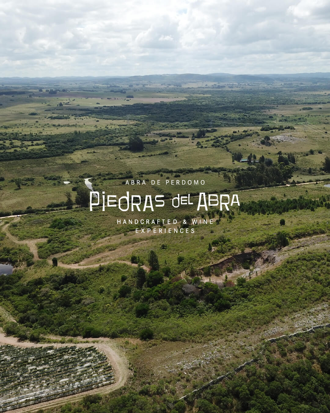 PdeAbra_Portada-branding